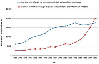 Opioids and Chronic Pain: An Analytic Review of the Clinical Evidence